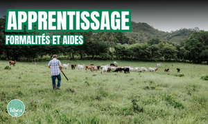 Image miniature